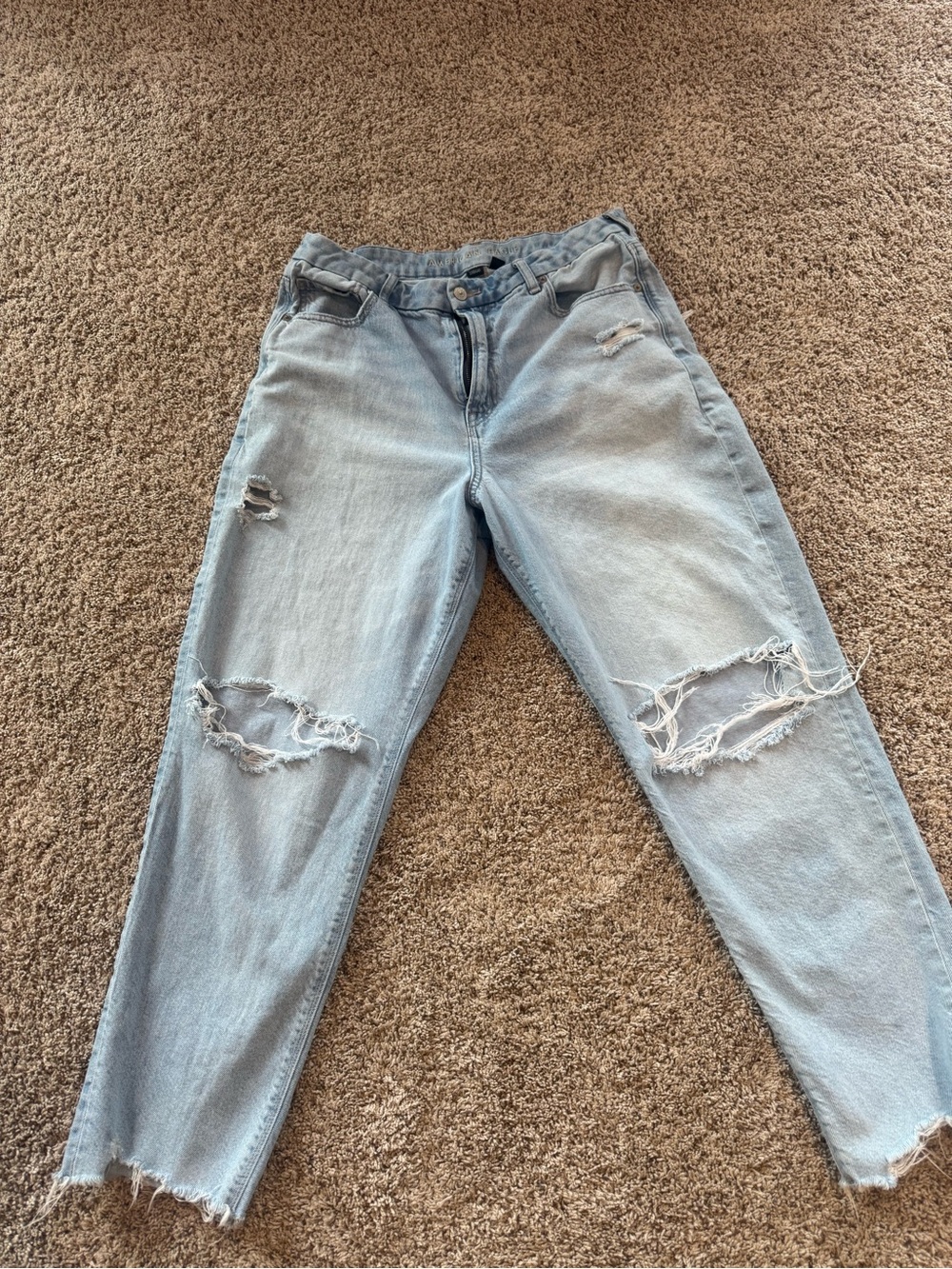 American Eagle Strigid